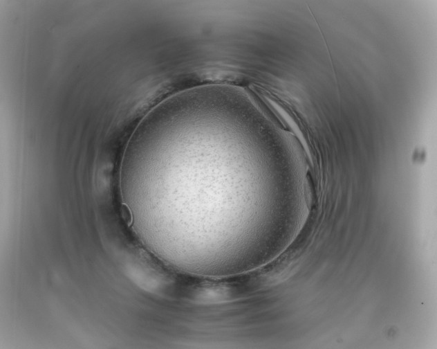 X0000091940263200709121625