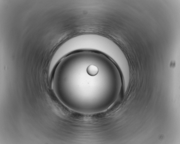 X0000091940264200709121625