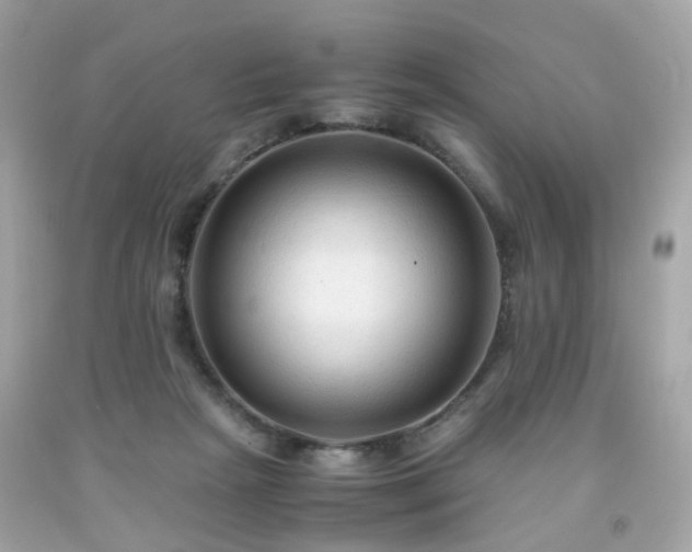 X0000091940265200709121625