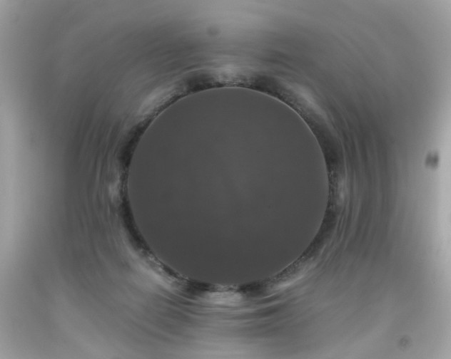 X0000091940266200709121625