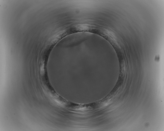 X0000091940267200709121625