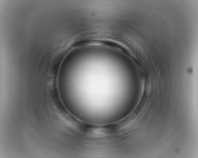 X0000091940268200709121625