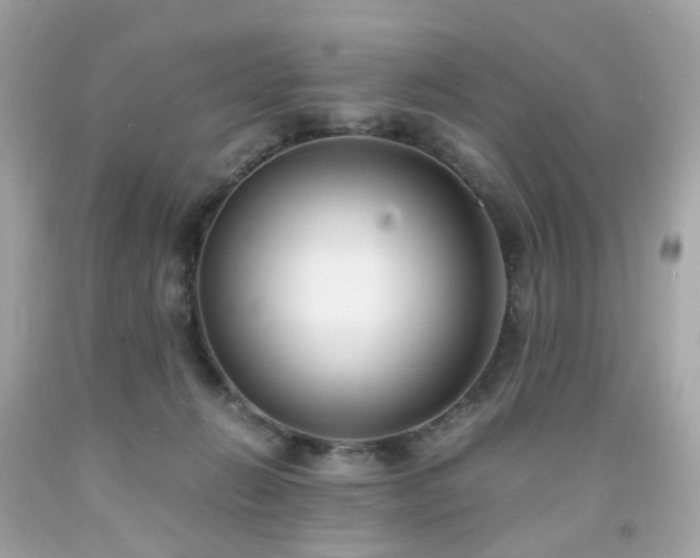 X0000091940270200709121625