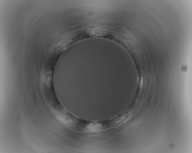 X0000091940271200709121625