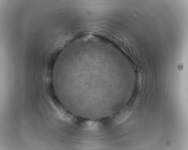 X0000091940272200709121625