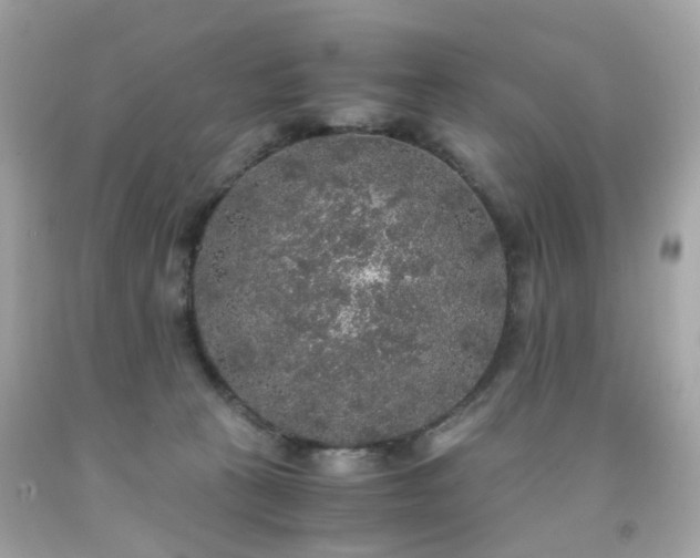 X0000091940273200709121625