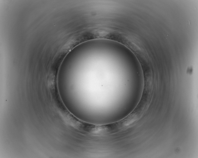 X0000091940274200709121625