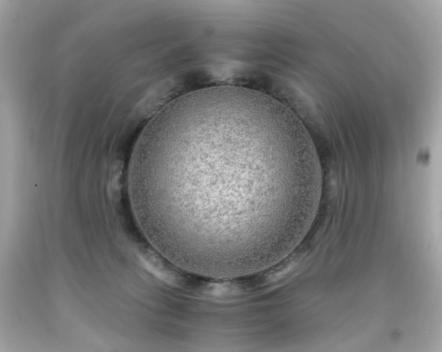 X0000091940275200709121625