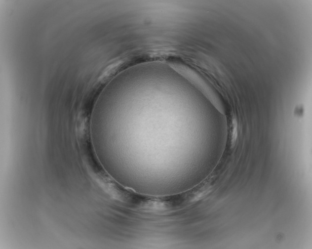 X0000091940276200709121625