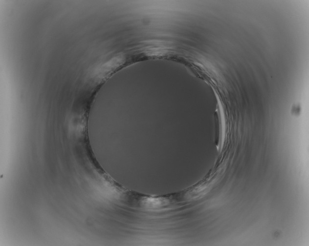 X0000091940277200709121625