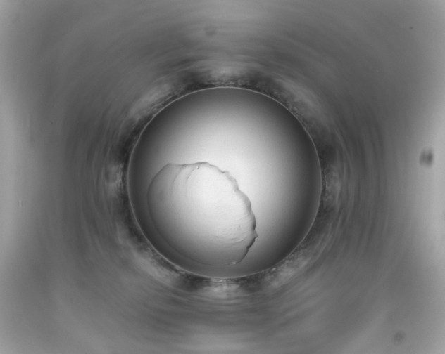 X0000091940278200709121625