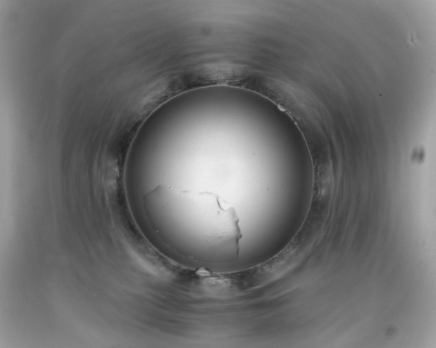 X0000091940279200709121625