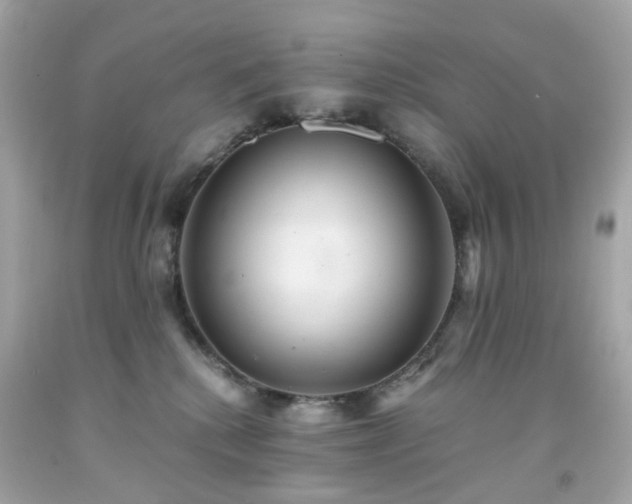 X0000091940280200709121625