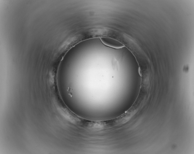 X0000091940282200709121625