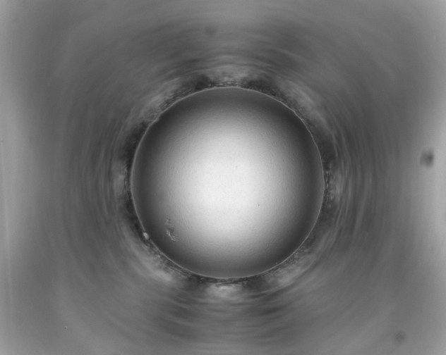 X0000091940283200709121625