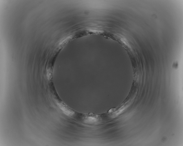 X0000091940285200709121625