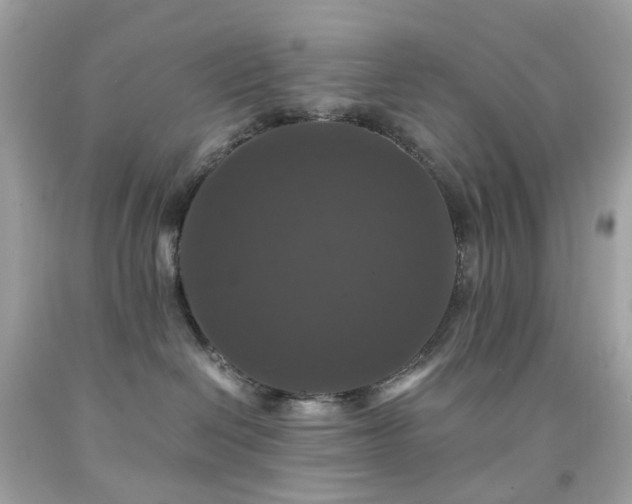 X0000091940286200709121625