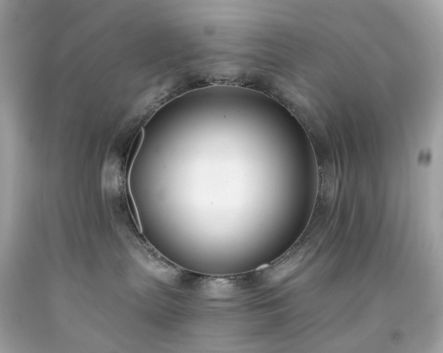 X0000091940287200709121625