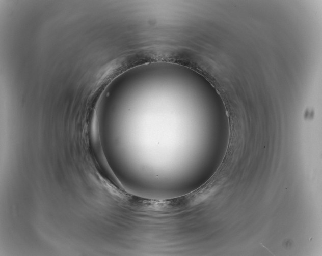 X0000091940288200709121625