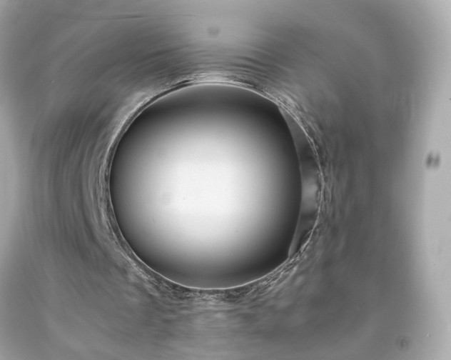 X0000091940289200709121624