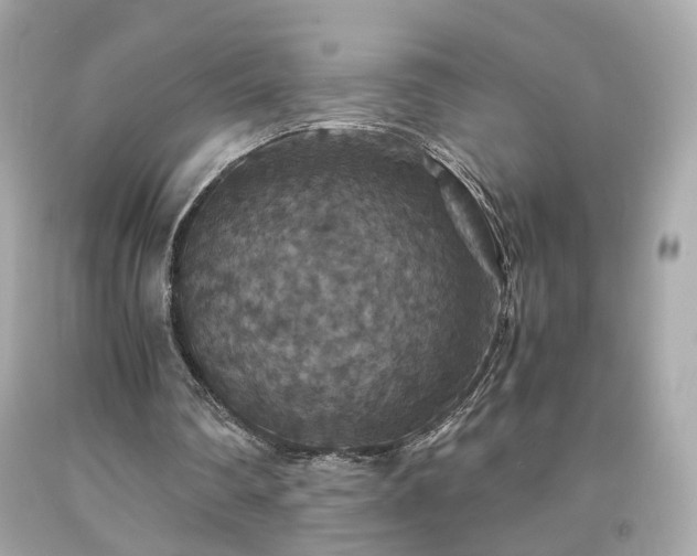 X0000091940290200709121624