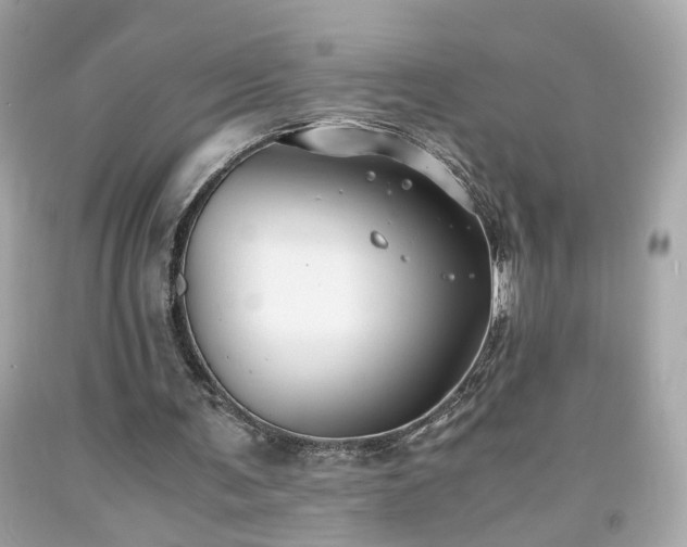 X0000091940291200709121624