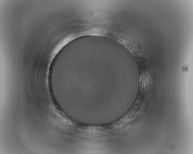 X0000091940292200709121624