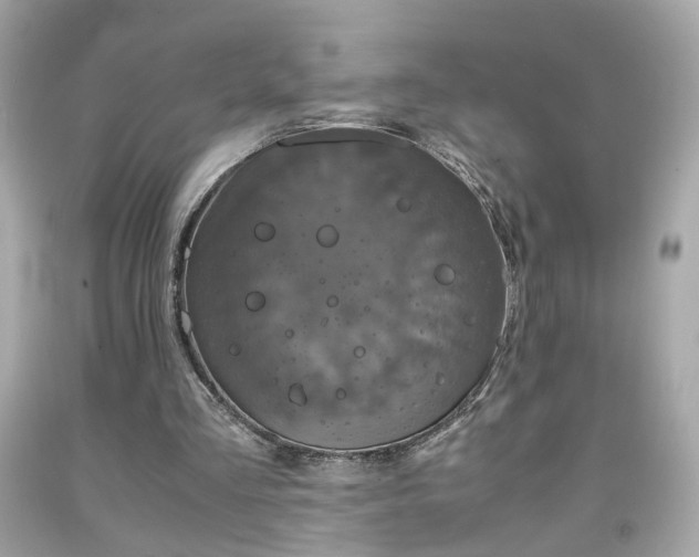 X0000091940293200709121624