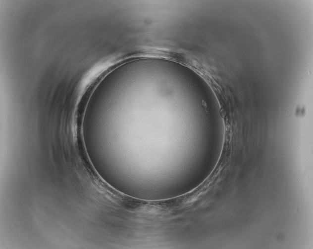 X0000091940294200709121624