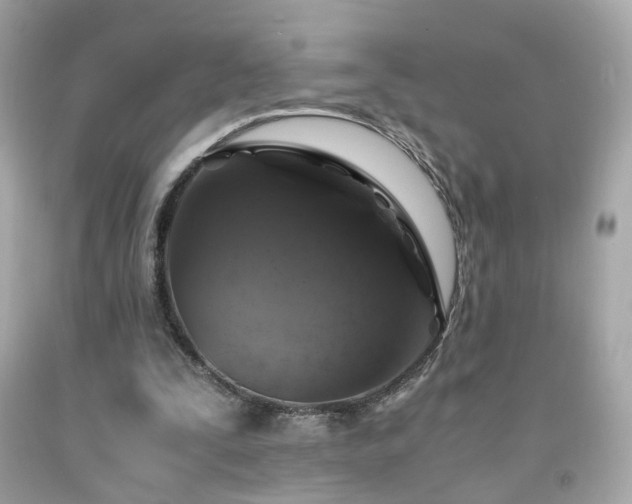 X0000091940295200709121624