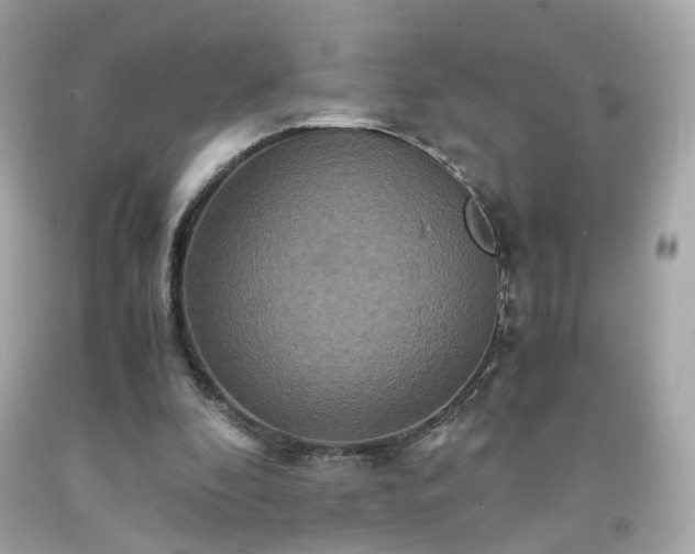 X0000091940296200709121624