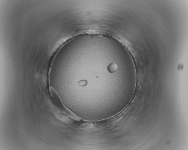 X0000091940297200709121624