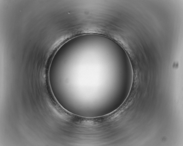 X0000091940298200709121624