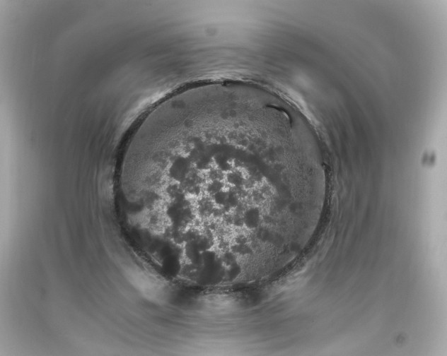 X0000091940299200709121624