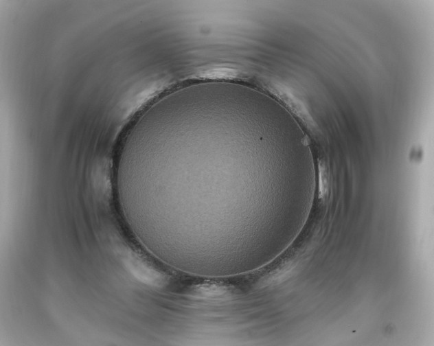 X0000091940300200709121624