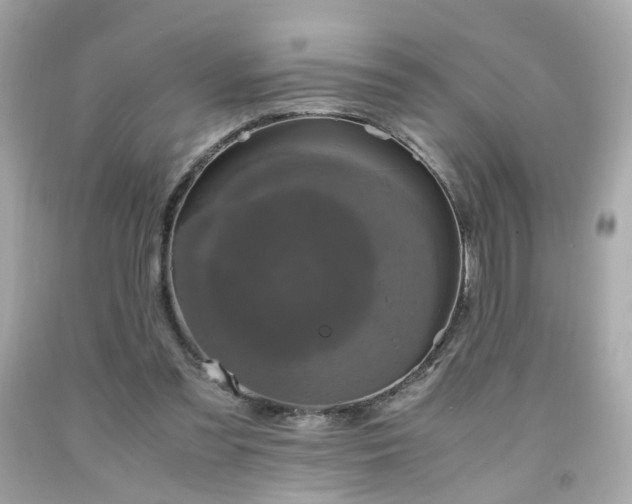 X0000091940301200709121624