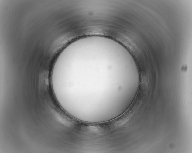 X0000091940302200709121624