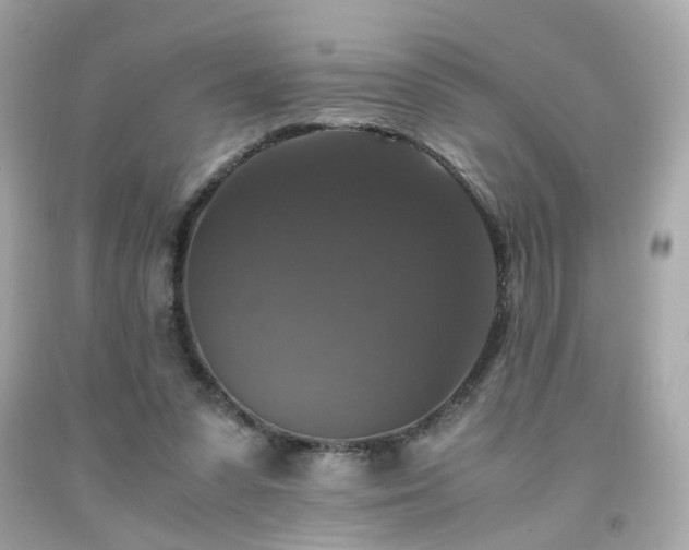 X0000091940303200709121624