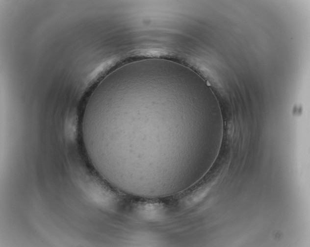 X0000091940304200709121624