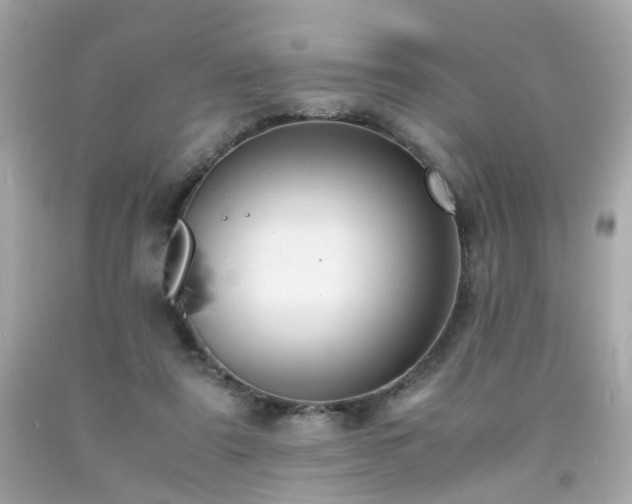 X0000091940307200709121624