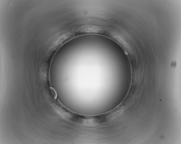 X0000091940309200709121624