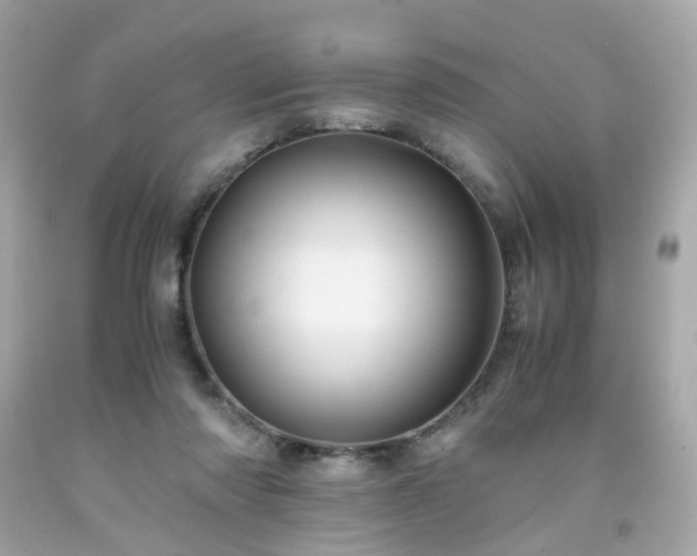 X0000091940310200709121624