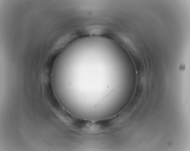 X0000091940311200709121624