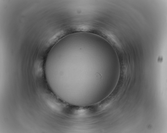 X0000091940312200709121624