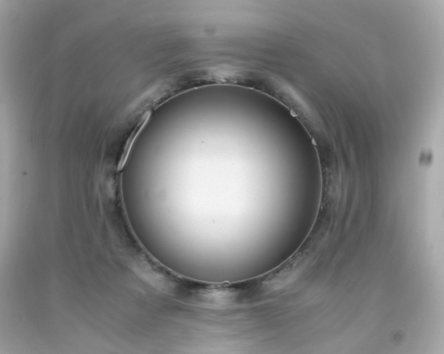 X0000091940313200709121624