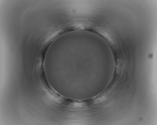 X0000091940314200709121624