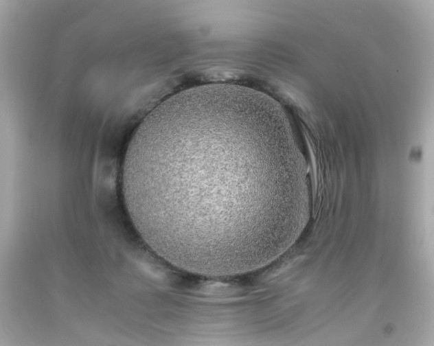 X0000091940315200709121624