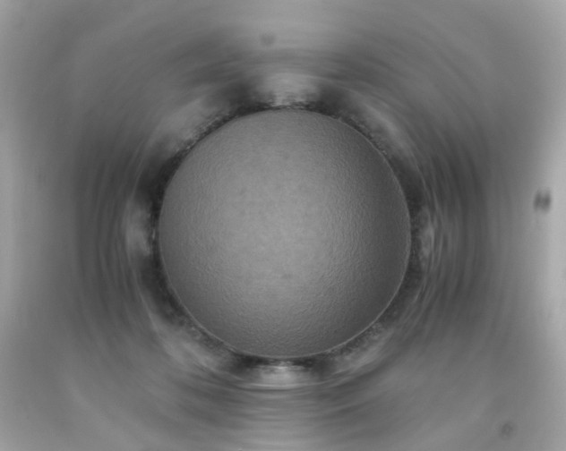 X0000091940316200709121624