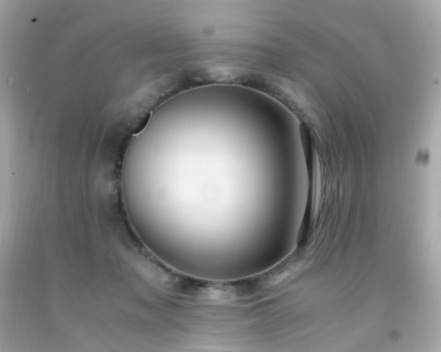 X0000091940317200709121624