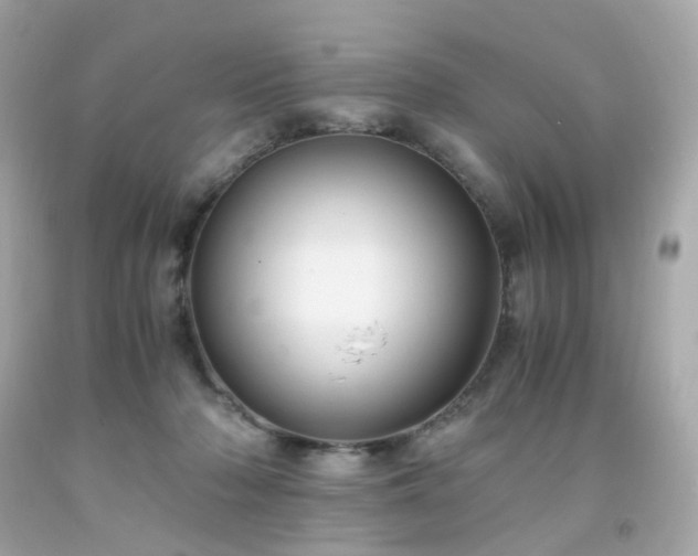 X0000091940318200709121624